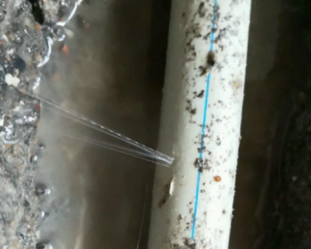 原阳卫生间测漏水多少钱