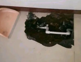 原阳卫生间测漏水多少钱